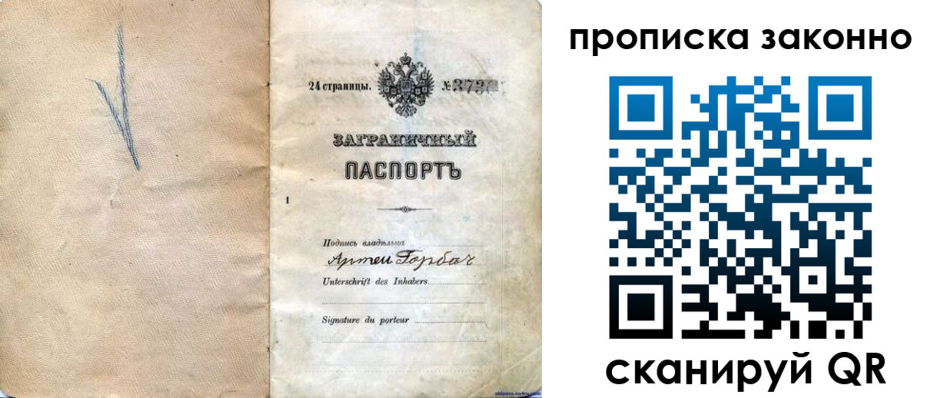 прописка 2025 в Коле