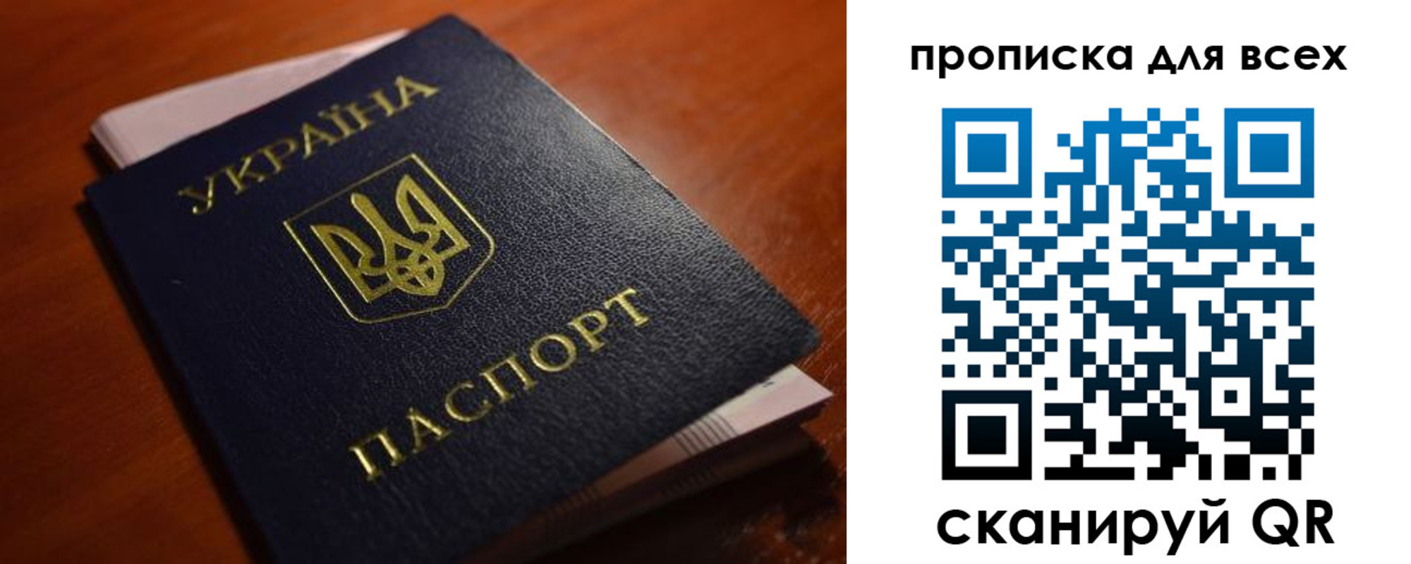 прописка законно в Коле